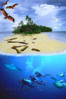 Solomon Islands - COMPOSING > eagles/shark/divers/turtles... by Manfred Bail 